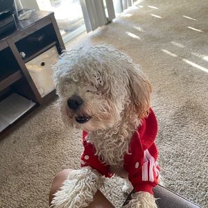 Meet your Posher, Sam